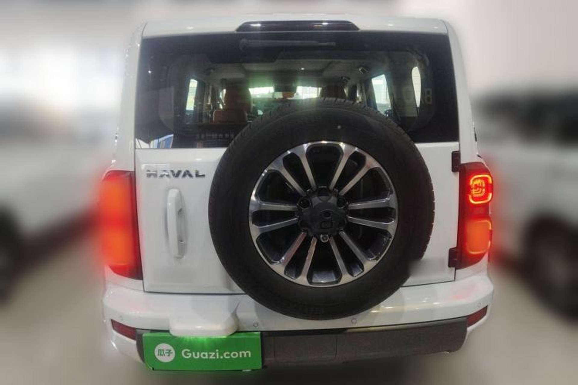 Used Haval H9 2024 2.0T Gasoline 4x4 Territory Edition Rear