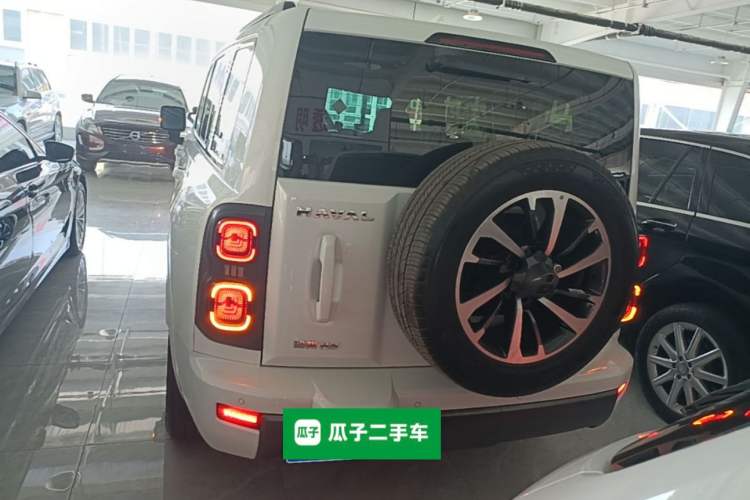 Used Haval H9 2024 2.0T Gasoline All-Wheel-Drive Extreme Edition Rear