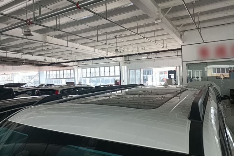 Used Haval H9 2024 2.0T Gasoline All-Wheel-Drive Extreme Edition Roof