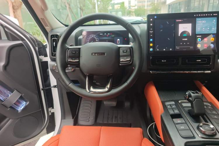 Used Haval H9 2024 2.0T Gasoline 4x4 Territory Edition Steering Wheel