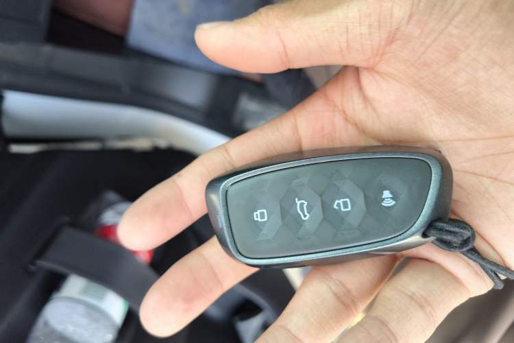 Used Haval H9 2024 2.0T Gasoline All-Wheel-Drive Extreme Edition Vehicle Key