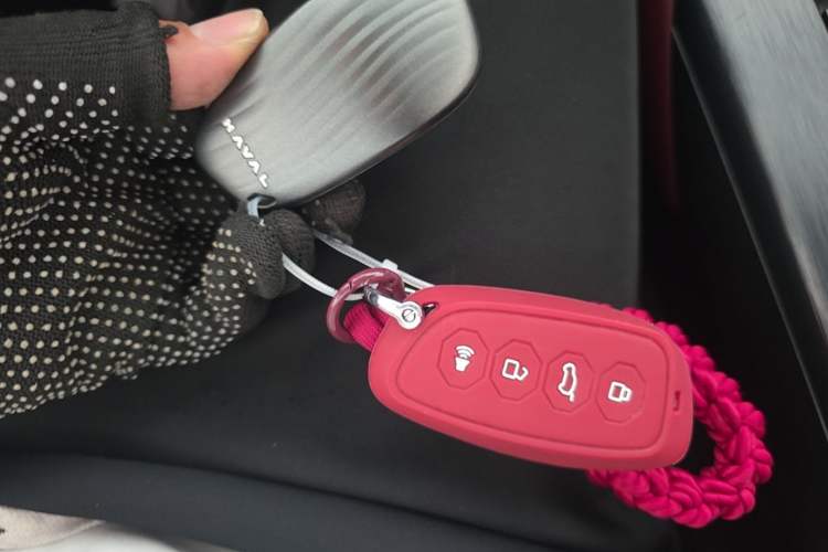 Used Haval H9 2025 Model 2.0T Gasoline Four-wheel-drive Warrior Edition Vehicle Key