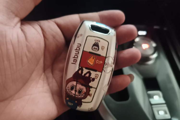 Used Haval JOLION 2021 1.5T Automatic Grand Three-Volume Version Vehicle Key