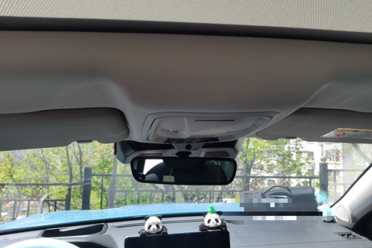 Used Haval JOLION 2021 1.5T Automatic Four-Door Version Headliner