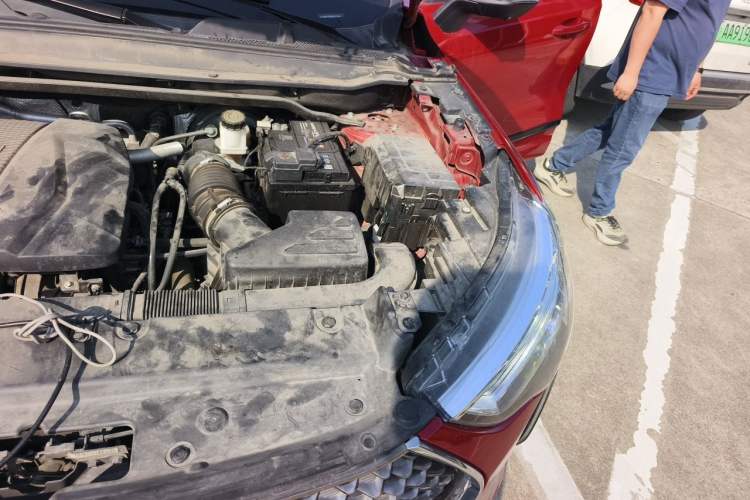 Used Haval JOLION 2021 1.5T Automatic Four-Door Version Engine Bay Left