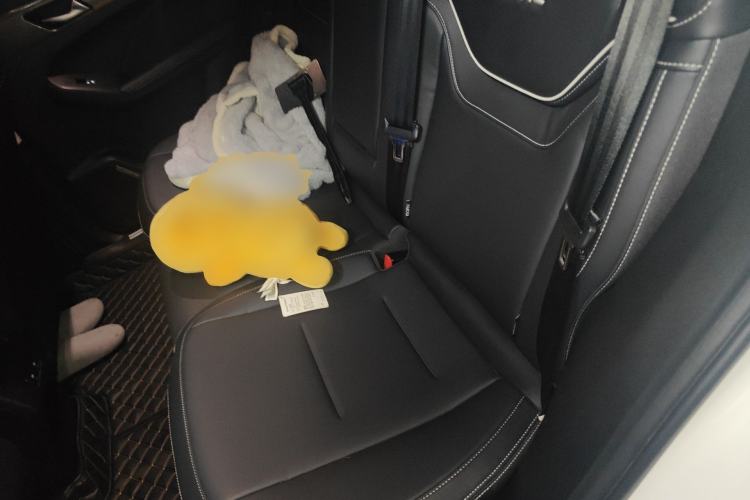 Used Haval JOLION 2021 1.5T Automatic Grand Three-Volume Version Left Rear Seat