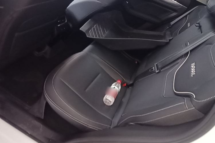 Used Haval JOLION 2021 1.5T Automatic Four-Door Version Left Rear Seat