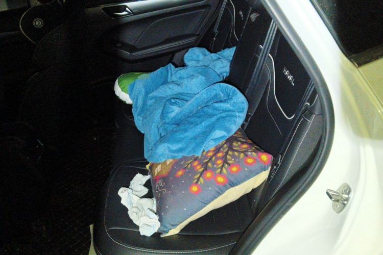 Used Haval JOLION 2021 1.5T Automatic Four-Door Version Left Rear Seat