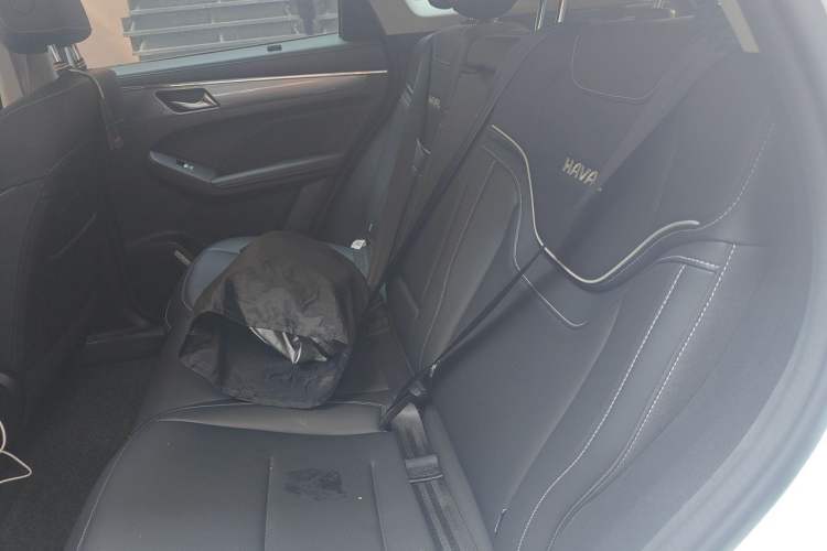 Used Haval JOLION 2021 1.5T Automatic Four-Door Version Left Rear Seat