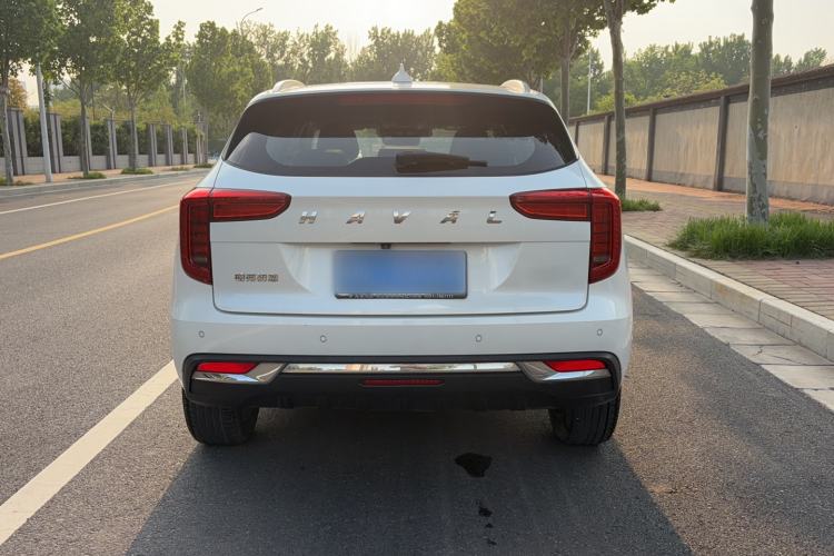 Used Haval JOLION 2021 1.5T Automatic Four-Door Version Rear