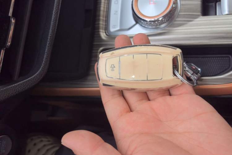 Used Haval JOLION 2021 1.5T Automatic Grand Three-Volume Version Vehicle Key