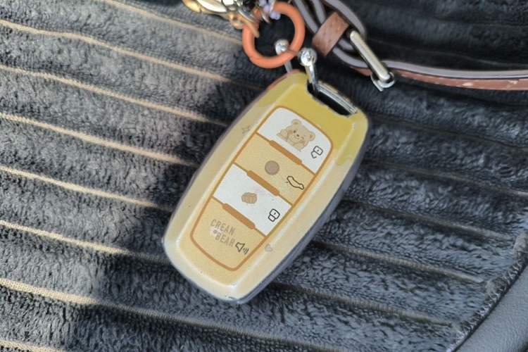 Used Haval JOLION 2021 1.5T Automatic Grand Three-Volume Version Vehicle Key