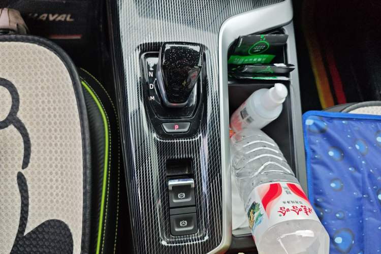 Used Haval LHERY 2021 GT Edition 1.5T Platinum Rabbit Gear Lever