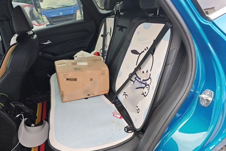 Used Haval LHERY 2021 GT Edition 1.5T Platinum Rabbit Left Rear Seat