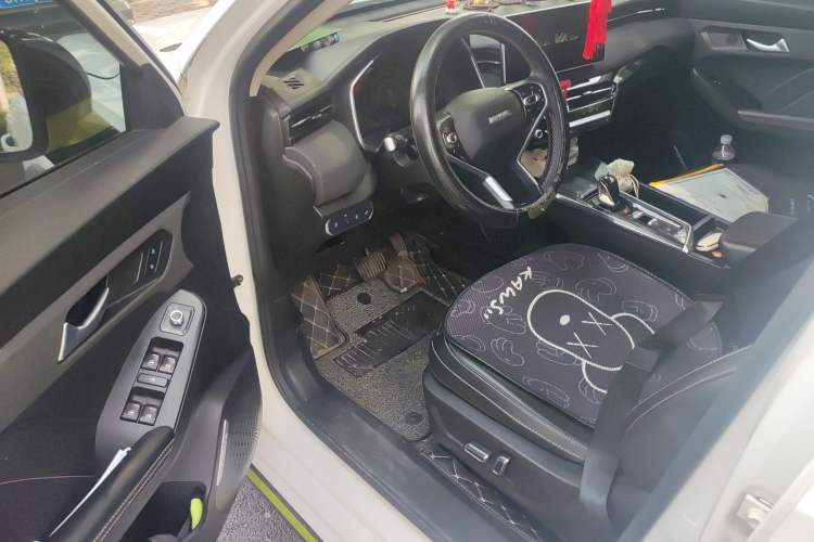 Used Haval LHERY 2022 Jingxiang Edition 1.5T Copper Rabbit Driver Seat
