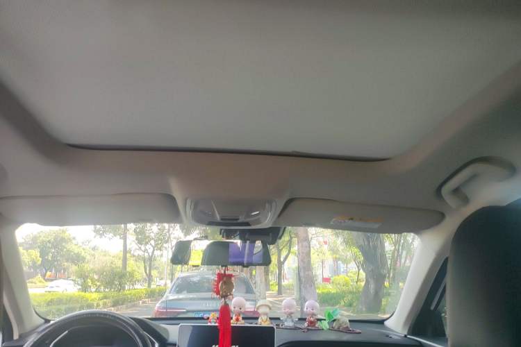 Used Haval LHERY 2022 Jingxiang Edition 1.5T Copper Rabbit Headliner