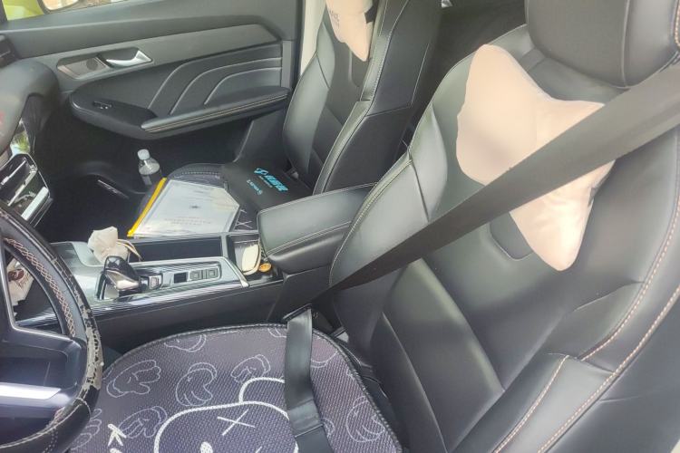Used Haval LHERY 2022 Jingxiang Edition 1.5T Copper Rabbit Left Front Seat