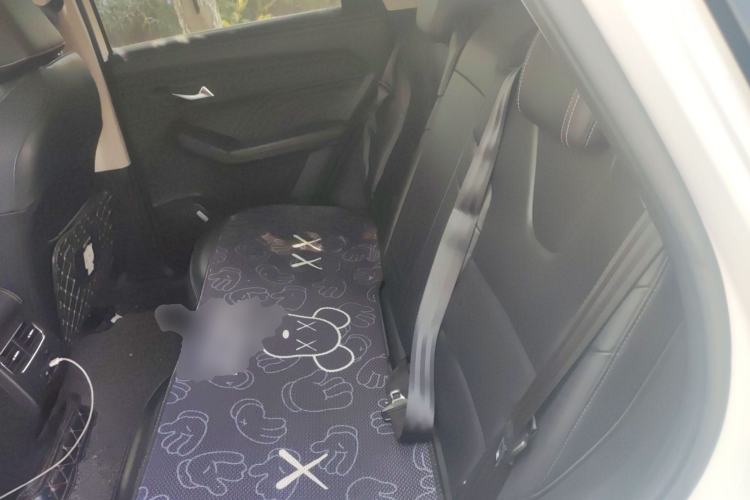 Used Haval LHERY 2022 Jingxiang Edition 1.5T Copper Rabbit Left Rear Seat