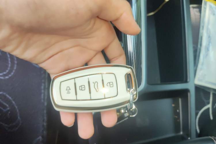 Used Haval LHERY 2022 Jingxiang Edition 1.5T Copper Rabbit Vehicle Key