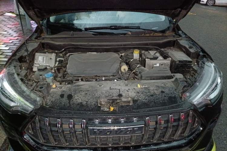 Used Haval LHERY 2021 High-Performance Version 1.5T Golden Rabbit Engine Bay