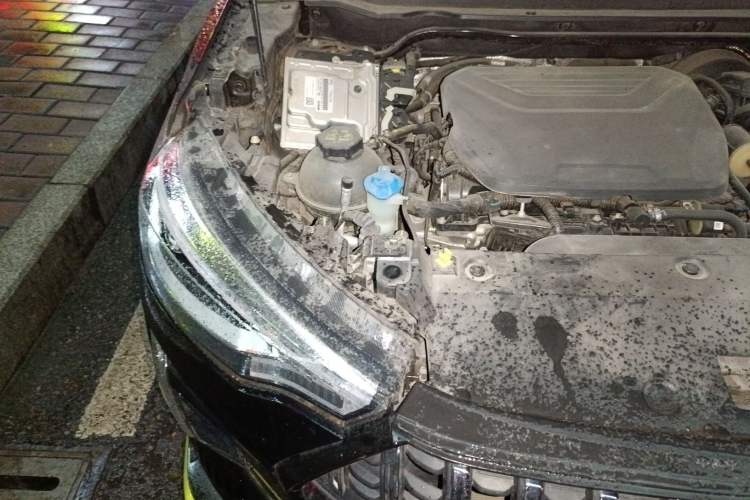 Used Haval LHERY 2021 High-Performance Version 1.5T Golden Rabbit Engine Bay Right