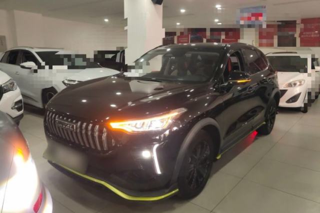 Used Haval LHERY 2021 High-Performance Version 1.5T Golden Rabbit