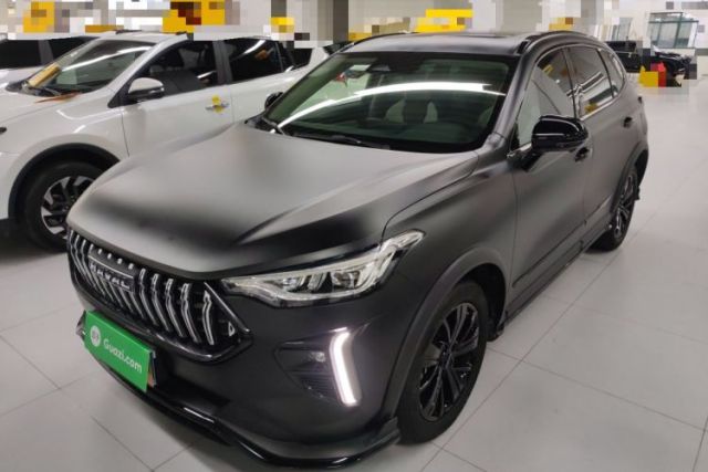 Used Haval LHERY 2021 High-Performance Version 1.5T Golden Rabbit