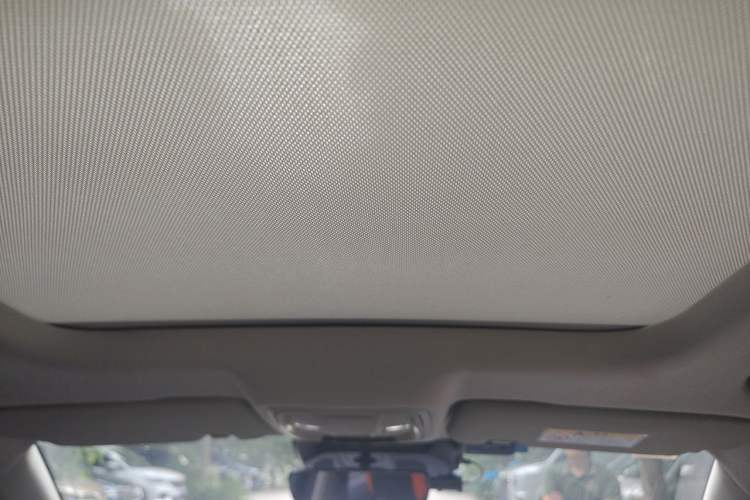 Used Haval LHERY 2021 High-Performance Version 1.5T Golden Rabbit Headliner