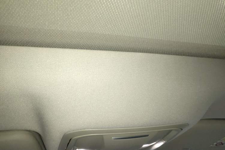 Used Haval LHERY 2021 High-Performance Version 1.5T Golden Rabbit Headliner