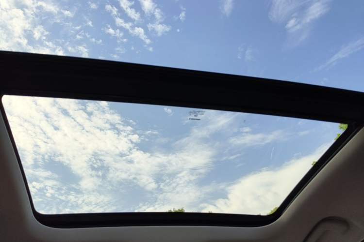 Used Haval LHERY 2021 High-Performance Version 1.5T Golden Rabbit Headliner
