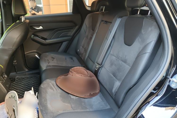 Used Haval LHERY 2021 High-Performance Version 1.5T Golden Rabbit Left Rear Seat