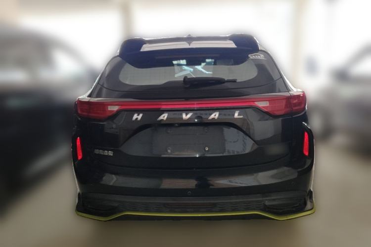 Used Haval LHERY 2021 High-Performance Version 1.5T Golden Rabbit Rear
