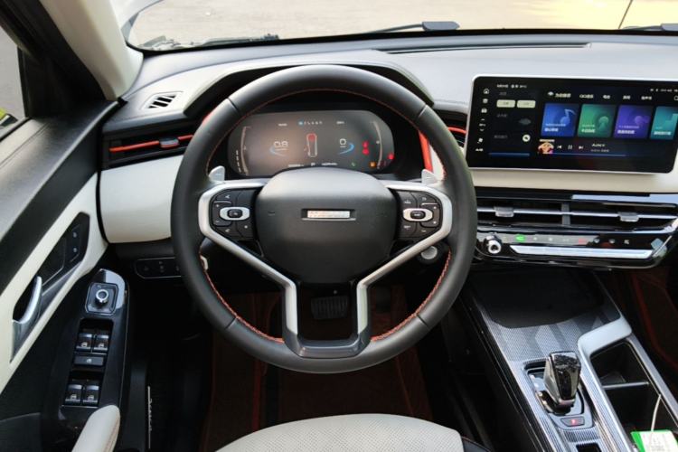 Used Haval LHERY 2021 High-Performance Version 1.5T Golden Rabbit Steering Wheel