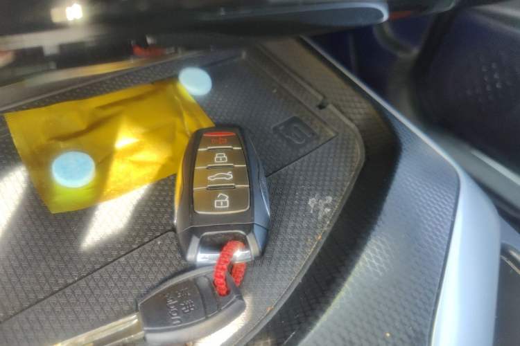 Used Haval LHERY 2021 GT Edition 1.5T Silver Rabbit Vehicle Key