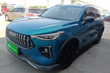 Used Haval LHERY 2021 High-Performance Version 1.5T Golden Rabbit