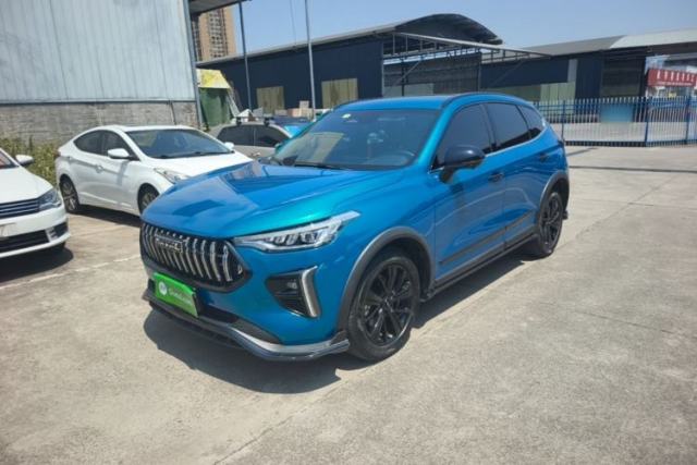 Used Haval LHERY 2021 High-Performance Version 1.5T Golden Rabbit