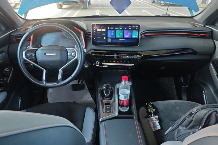 Used Haval LHERY 2021 High-Performance Version 1.5T Golden Rabbit Center Console