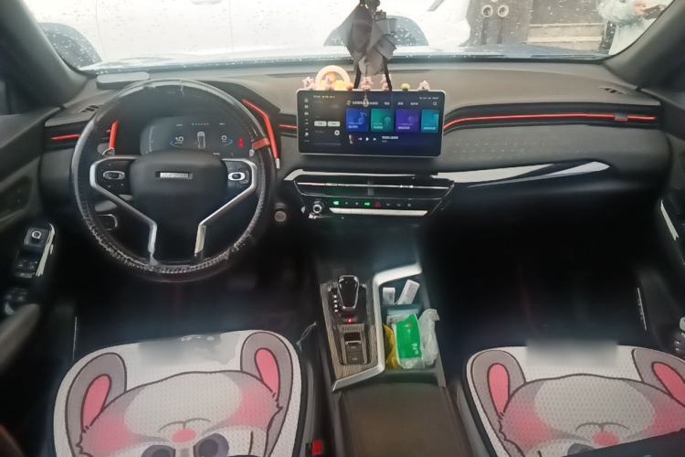 Used Haval LHERY 2021 High-Performance Version 1.5T Golden Rabbit Center Console