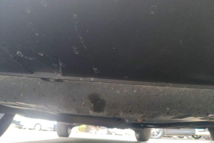 Used Haval LHERY 2021 High-Performance Version 1.5T Golden Rabbit Chassis Front