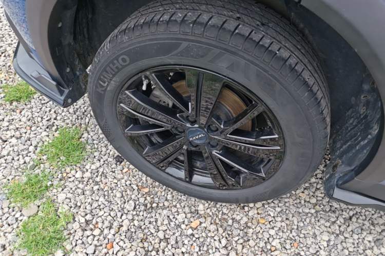 Used Haval LHERY 2021 High-Performance Version 1.5T Golden Rabbit Exterior 5
