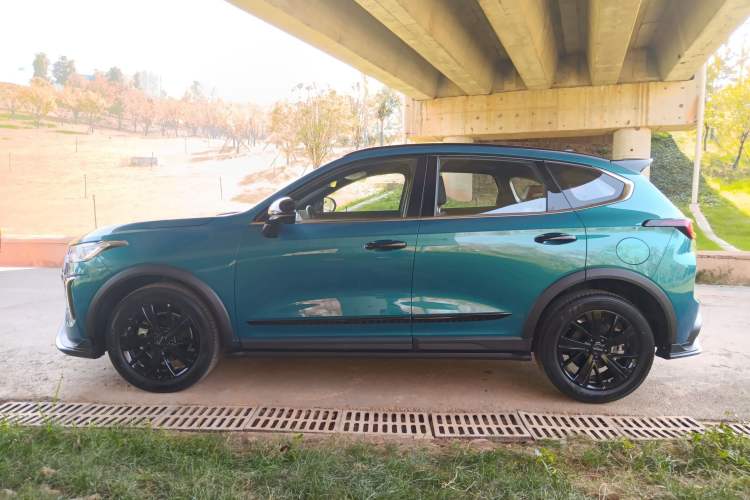 Used Haval LHERY 2021 High-Performance Version 1.5T Golden Rabbit Exterior 5