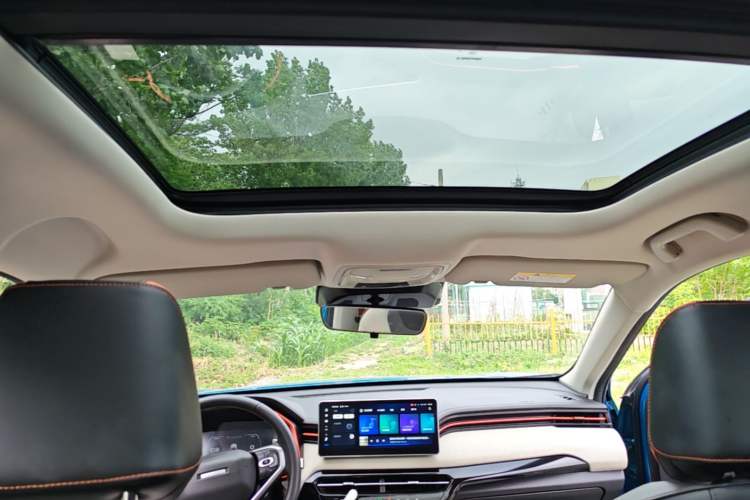 Used Haval LHERY 2021 High-Performance Version 1.5T Golden Rabbit Headliner