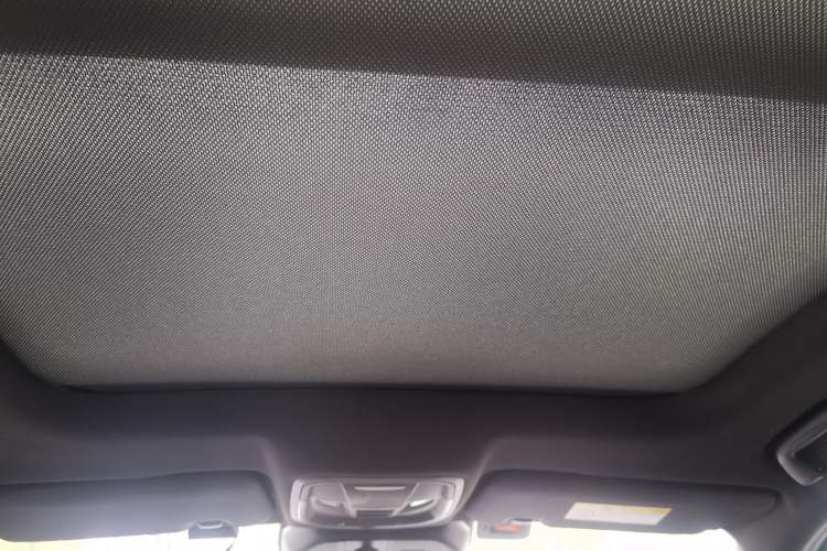 Used Haval LHERY 2021 High-Performance Version 1.5T Golden Rabbit Headliner