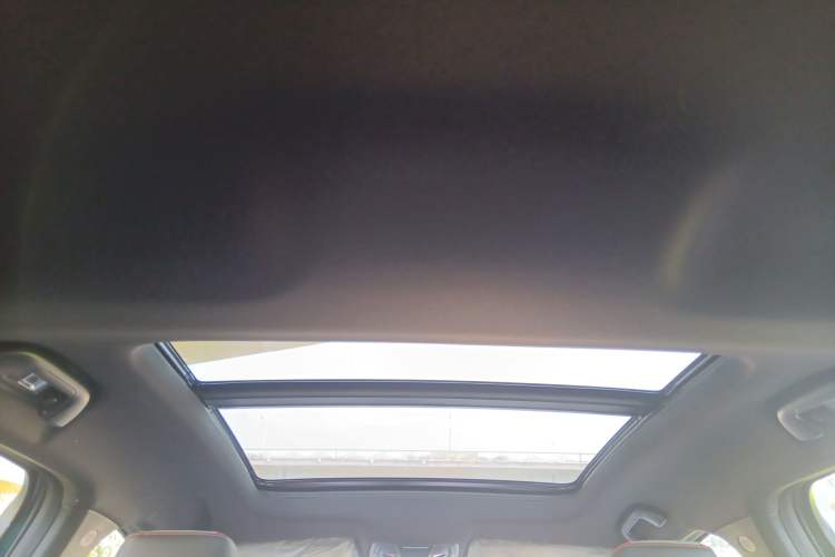 Used Haval LHERY 2021 High-Performance Version 1.5T Golden Rabbit Headliner
