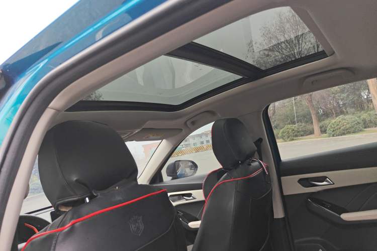 Used Haval LHERY 2021 High-Performance Version 1.5T Golden Rabbit Headliner