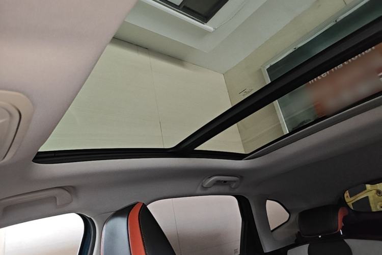 Used Haval LHERY 2021 High-Performance Version 1.5T Golden Rabbit Headliner