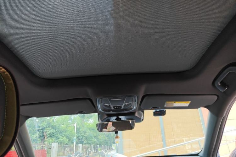 Used Haval LHERY 2021 High-Performance Version 1.5T Golden Rabbit Headliner