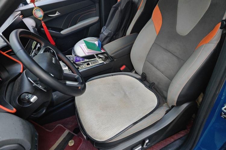 Used Haval LHERY 2021 High-Performance Version 1.5T Golden Rabbit Left Front Seat