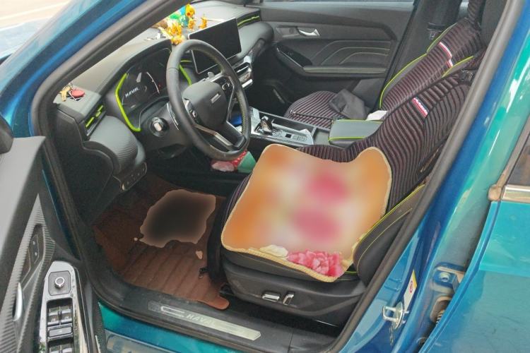 Used Haval LHERY 2021 High-Performance Version 1.5T Golden Rabbit Left Front Seat