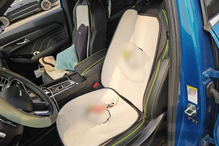Used Haval LHERY 2021 GT Edition 1.5T Platinum Rabbit Left Front Seat